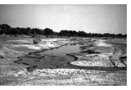 delta flood image